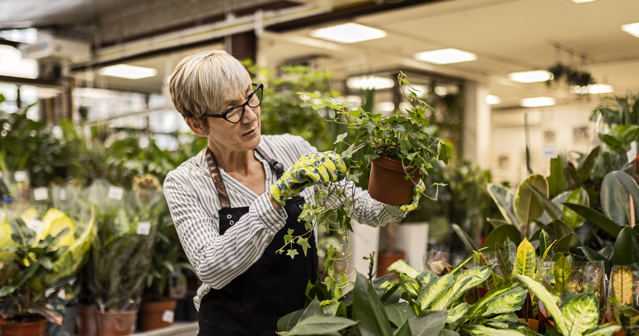 Mature woman taking care of plants