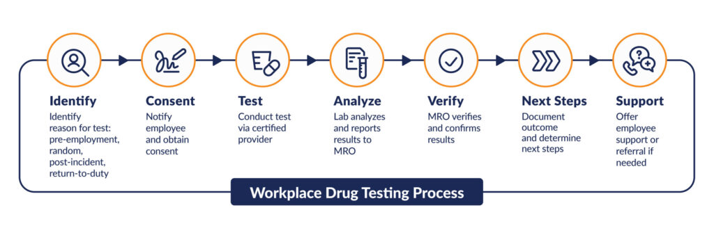 Workplace drug testing flowchart showing step-by-step testing process including MRO verification